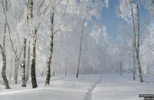  Русская зима (39 фото)