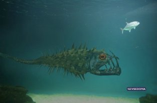  Подводные монстры (27 картинок)