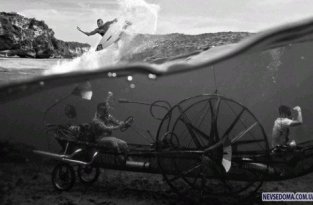 Восхитительные подводные фотографии (25 фотографий)