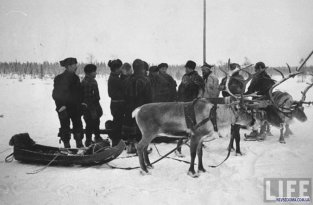 Советско-финская война 1939 - 1940 годов (27 фотографий)