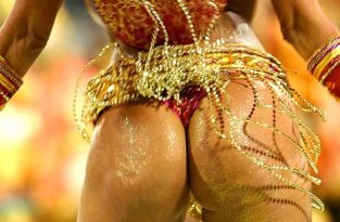 Девушки с карнавала в Рио (13 Фото)
