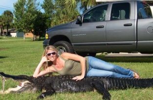 Чирлидерша стала охотницей на крокодилов