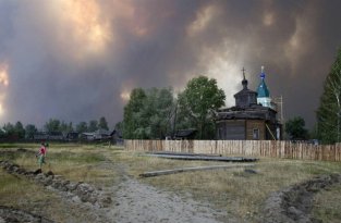 Пожары в России (13 фото)