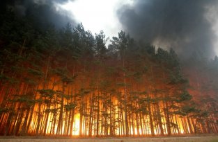 Лесные пожары в России продолжаются (Часть 2)