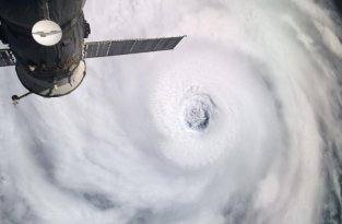 Ураган Игорь на Бермудах (11 фото)