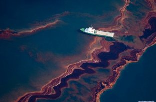 Разлив нефти в Мексиканском заливе продолжается (40 фото)