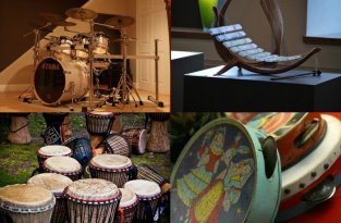 Музыкальные инструменты, на которых легко научиться играть (7 фото)