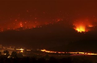 Лесные пожары в Аризоне (36 фото)