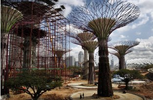 Супер-деревья в Сингапуре (4 фото)