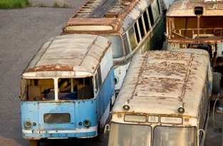 Кладбище старых автобусов (15 фото)