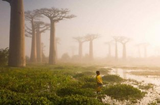 Путешествие на остров Мадагаскар (36 фотографий)