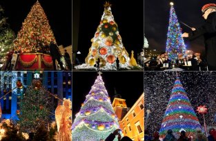 Рождественские елки со всего мира (11 фото)