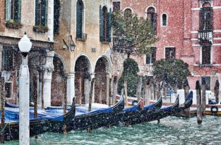 Снег в Венеции… сон наяву ! (19 фото)