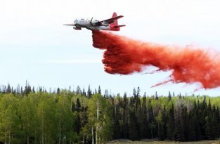 Лесные пожары на западе США (28 фото)