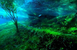 Подводный парк «Зеленое озеро» (16 фото)