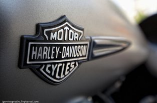 Harley-Davidson (28 фото)