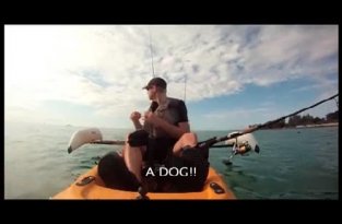 Спас собаку в Мексиканском заливе