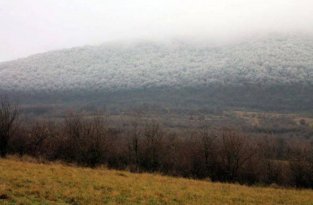 Редкий природный феномен в венгерском лесу (6 фото)