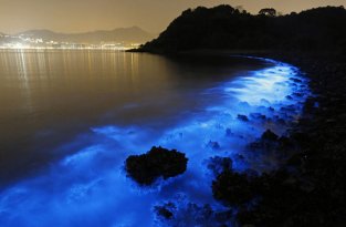 Удивительное природное явление на побережье Гонконга (4 фото)