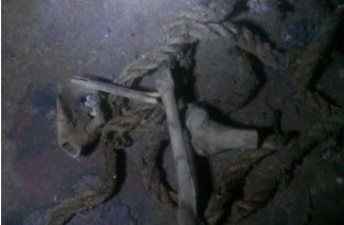 Исследование костей, найденных в подвале дома (4 фото)