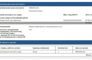 На сайте госзакупок появилось объявление о покупке гитары за 100 млн рублей (2 фото)