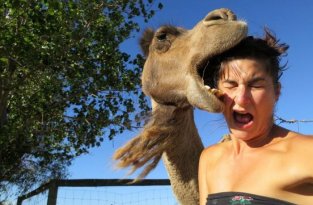 Не все девушки умеют находить общий язык с животными (35 фото)