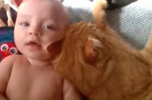 Младенец и кот