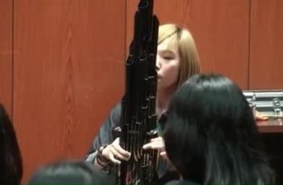 Девушка играет мелодию из Марио на удивительном инструменте