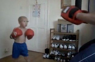 Маленький боец UFC