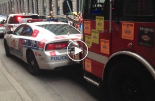 Канадские пожарные умеют правильно расставлять приоритеты
