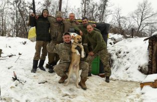 Чем занимаются на Донбассе лучшие друзья бойцов АТО