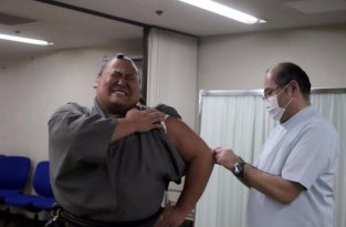 Как борцы сумо вздрагивают и кричат от боли во время прививки (6 фото)