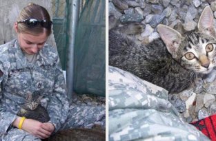 Эта женщина-военнослужащая отказалась оставить больного котенка одного в Афганистане (8 фото)