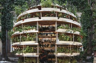 «Зелёная комната»: дизайн вертикального сада при поддержке IKEA (10 фото)