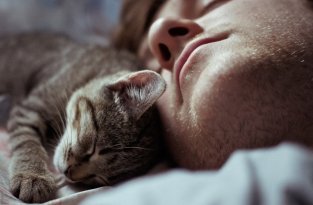 Для чего кошки ложатся спать с хозяевами? (2 фото)