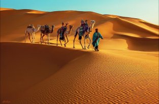 Интересные факты о пустынях (3 фото)