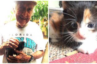 Дед тайно ухаживал за бездомными котятами, хотя бабка ему запретила (7 фото)