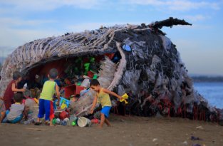 Мертвый кит на Филиппинах как символ ужасающего загрязнения Мирового океана (7 фото)