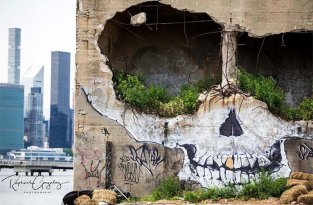 Уличный художник превратил стену заброшенного здания в гигантский череп (6 фото)