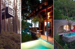10 экзотических отелей на деревьях (11 фото)