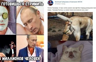 Прямая линия с Путиным 2017: самое смешное из соцсетей (19 фото)