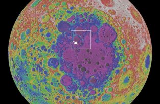 Китай проведет биологический эксперимент на обратной стороне Луны (4 фото)