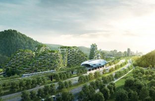 Китайцы строят первый в истории современный «лесной город», который будет состоять из 40 тыс. деревьев (7 фото)