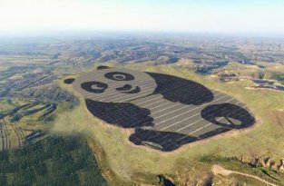 В Китае построили первую в мире солнечную электростанцию в форме панды (2 фото)