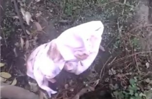 Мужчина спас малыша, которого оставили в свертке на улице