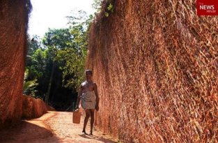 Наполовину парализованный индиец прорыл 200-метровую дорогу к своему дому (3 фото)