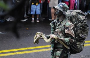 Солдаты армии Парагвая маршируют на параде со своими животными (7 фото)