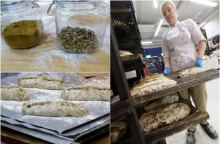 В Финляндии пекут хлеб из сверчков (6 фото)