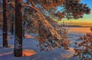 Красивые зимние фото. Сибирская зима (10 фото)