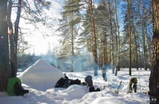 Как выжить зимой в лесу (6 фото)
